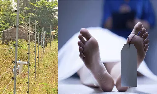 மின்வேலியில் சிக்கி வாலிபர் பலி