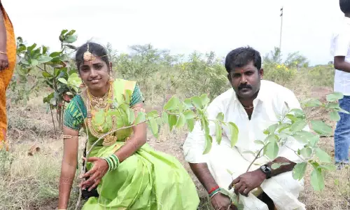 பல்லடம் அருகே மரக்கன்றுகள் நட்ட மணமக்கள்