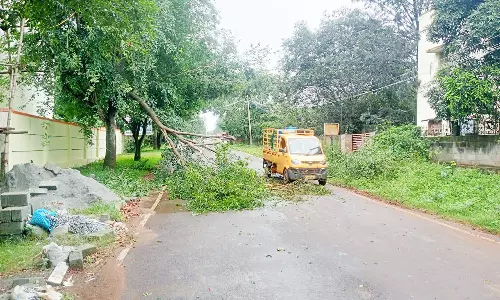 கனமழையால் சாலையில் சாய்ந்த மரம்