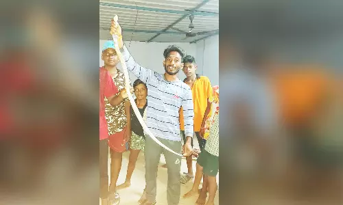 வீட்டில் புகுந்த பாம்பை பிடித்த இளைஞர்கள்