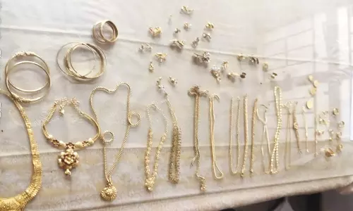 ஐ.டி. ஊழியர் வீட்டில் திருடியவர் கைது