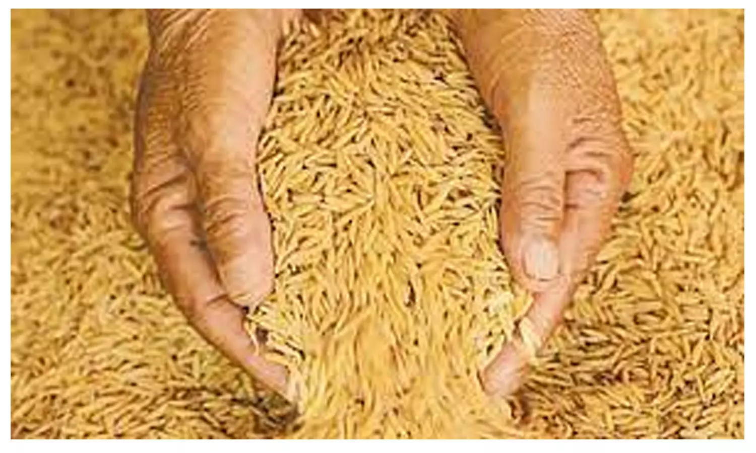 வேளாண் அலுவலகங்களில் விதை நெல் பற்றாக்குறை வேளாண் அலுவலகங்களில் விதை நெல் பற்றாக்குறை