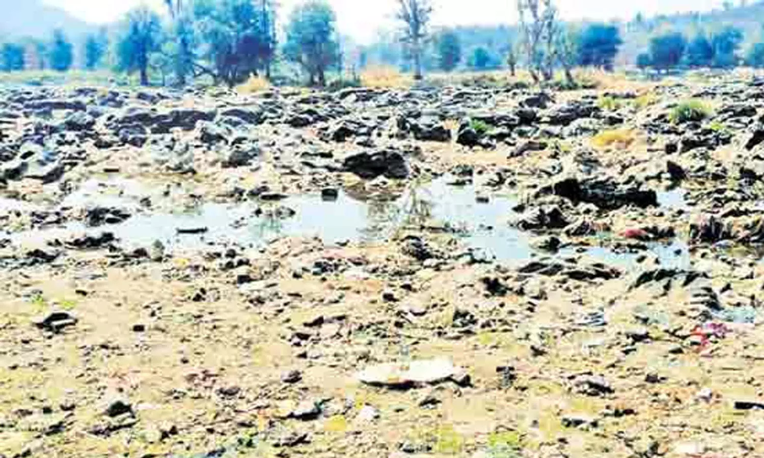 பருவமழை குறைவால் பொள்ளாச்சி வனப்பகுதி நீரோடைகள் வறண்டது பருவமழை குறைவால் பொள்ளாச்சி வனப்பகுதி நீரோடைகள் வறண்டது