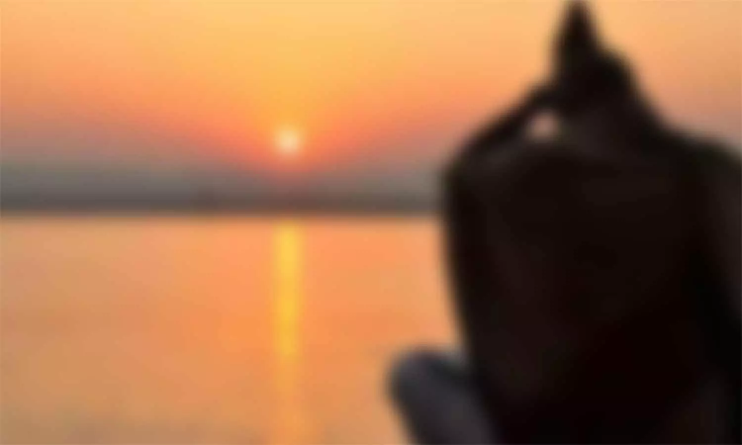 கடவுளின் வேலை கடவுளின் வேலை