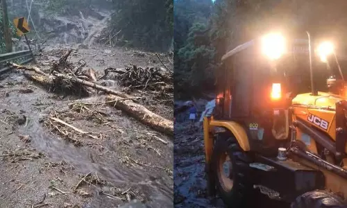 பல மாவட்டங்களில் பலத்த மழை: கேரளாவில் 2 இடங்களில் நிலச்சரிவு