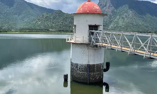 மேற்கு தொடர்ச்சி மலைப்பகுதியில் மழை: ஆத்தூர் காமராஜர் அணை நீர் மட்டம் உயர்வு