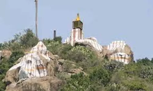 எளம்பலூர்  கோயிலில் சிறப்பு பூஜை விழா