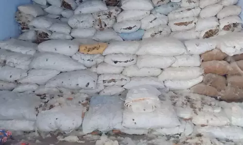 போடியில் இலவம்பஞ்சு விலை வீழ்ச்சியால் விவசாயிகள் கவலை