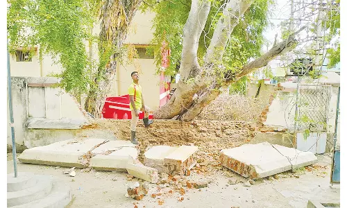 மரம் சாய்ந்து விழுந்து சார்பதிவாளர் அலுவலக சுற்றுச்சுவர் சேதம்-மக்கள் அச்சம்