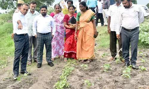 வளர்ச்சி திட்டப்பணிகளை கண்காணிப்பு அலுவலர் ஆய்வு
