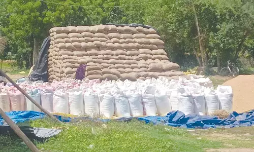 கொள்முதல் நிலையங்களில் தேங்கி கிடக்கும் நெல் மூட்டைகள்