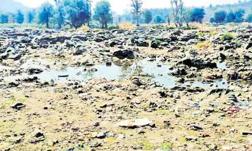 பருவமழை குறைவால் பொள்ளாச்சி வனப்பகுதி நீரோடைகள் வறண்டது