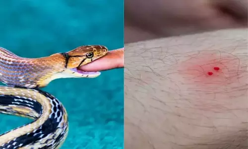 பாம்பு கடித்து விவசாயி சாவு