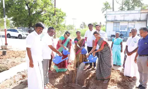 காங்கயம் துளிகள் அமைப்பு சார்பில் 128-வது கட்ட மரக்கன்றுகள் நடும்  விழா