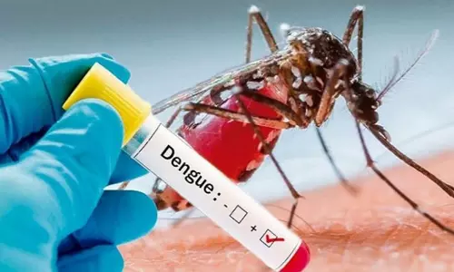 கோடை மழை பெய்துவரும் நிலையில் கேரளாவில் டெங்கு காய்ச்சல் பரவுகிறது