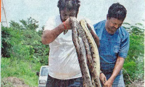 விசாகப்பட்டினத்தில் மலைப்பாம்புகளை கையில் தொங்கவிட்டு சாகசம்