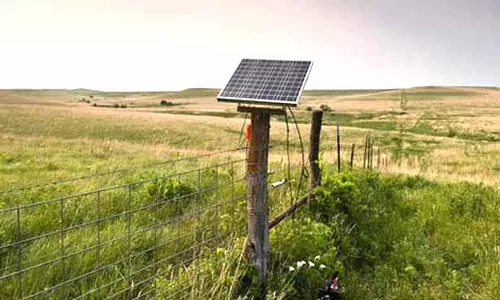 வன விலங்குகள் உயிரிழப்பை தடுக்க பழனியில் சோலார் மின் வேலிகளில் வனத்துறை ஆய்வு