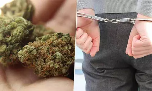 திண்டுக்கல் அருகே 21 கிலோ கஞ்சாவுடன் 3 பேர் கைது