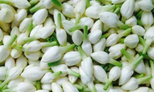 தோவாளை மலர் சந்தையில் மல்லிகைப்பூ ரூ.800-க்கு விற்பனை