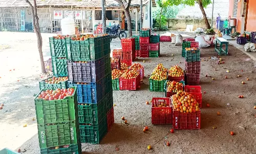 அய்யலூர் சந்தையில் தக்காளி வரத்து அதிகரிப்பால் விலை கடும் சரிவு