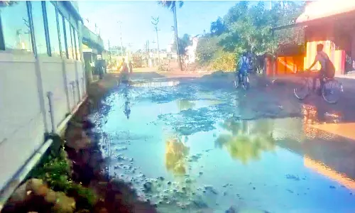 பாவூர்சத்திரம் அருகே குண்டும் குழியுமான சாலையில் தேங்கி நிற்கும் மழை நீர்