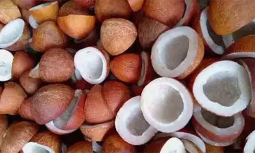 திருச்செங்கோடு வேளாண்மை கூட்டுறவு விற்பனை சங்கத்தில் கொப்பரை ரூ.3 லட்சத்திற்கு விற்பனை