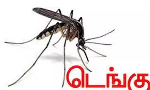 சீர்காழி அரசு ஆஸ்பத்திரியில் டெங்கு அறிகுறியுடன் 3 பேருக்கு சிகிச்சை