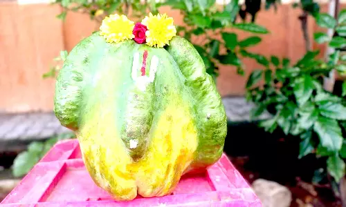 பப்பாளியில் பெருமாள் உருவம்