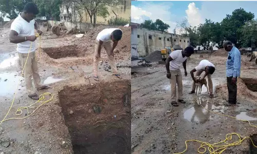 பல்லடம் பஸ் நிலைய வளாக குழியில் விழுந்த நாய் உயிருடன் மீட்பு