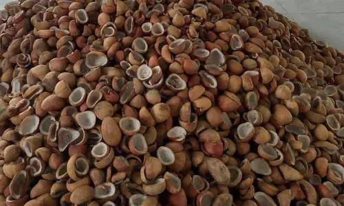 ரூ.6 லட்சத்து 64 ஆயிரத்துக்கு   விளைபொருட்கள் ஏலம்