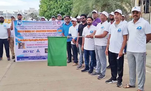 ரேபிஸ் நோய் இல்லாத பகுதியாக 4 ஆண்டில் புதுவை மாறும்