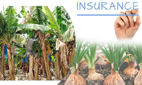 வெங்காயம்-வாழைப்பயிா்களுக்கு காப்பீடு விவசாயிகளுக்கு தோட்டக்கலைத்துறை அழைப்பு