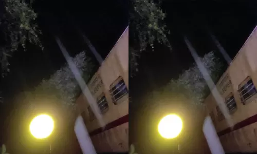 திண்டிவனம் அருகே தண்டவாளத்தில் மரம் விழுந்தது- சிக்னல் கோளாறால் ரெயில்கள் தாமதம்