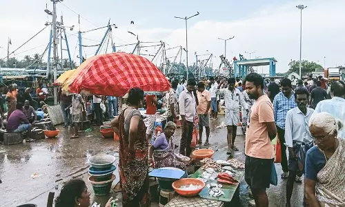 புரட்டாசி மாதம் பிறந்ததால் கடலூர் துறைமுக மீன் அங்காடிகள் வெறிச்சோடியது