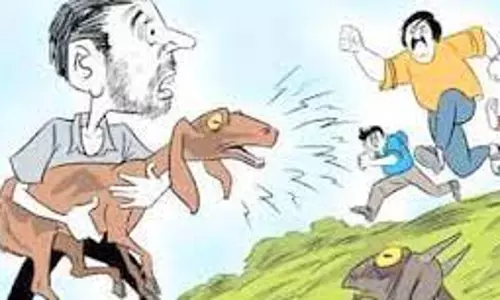 சின்னசேலம் அருகே  ஆடுகள் திருட்டு