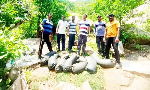 லாரி டியூப்பில் பதுக்கி வைத்திருந்த சாராயம் பறிமுதல்