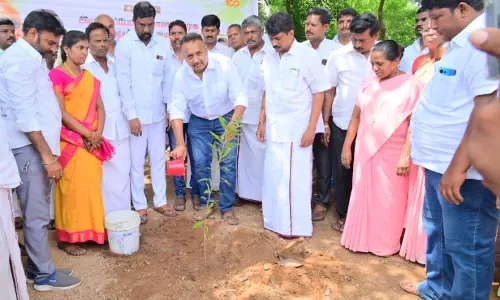 அடுக்கம்பாறையில் மரக்கன்றுகள் நடும் விழா