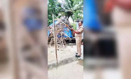 பம்பு செட்டில் புகுந்த 10 நீள பாம்பு மீட்பு