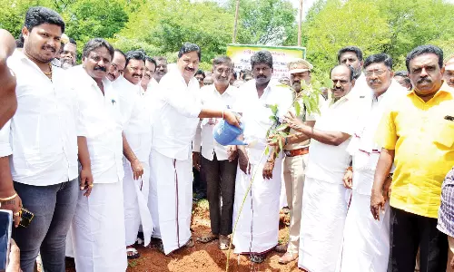 மரக்கன்றுகள் நடும் பணி: மதியழகன் எம்.எல்.ஏ.  தொடங்கி வைத்தார்