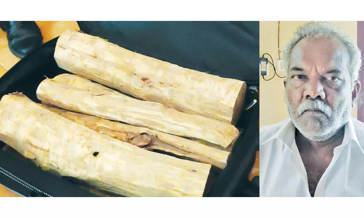 1 லட்சம் மதிப்புள்ள சந்தன மரகட்டைகள் கடத்தியவர் கைது 1 லட்சம் மதிப்புள்ள சந்தன மரகட்டைகள் கடத்தியவர் கைது