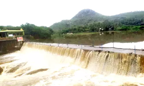 ஆந்திர தடுப்பணைகள் நிரம்பியது: கனமழையால் பாலாற்றில் வெள்ளப்பெருக்கு