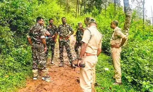 பெரியாறு புலிகள் சரணாலய பகுதியில் வன விலங்குகள் வேட்டையை தடுக்க வனத்துறையினர் தீவிர சோதனை