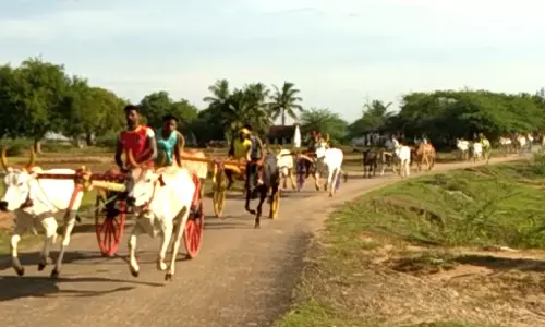 மாட்டு வண்டி எல்கை பந்தையம்