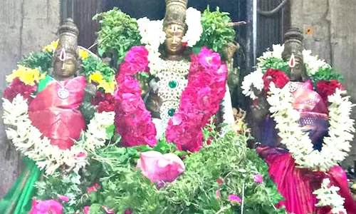 ஜெனக நாராயண பெருமாள் கோவிலில் சிறப்பு வழிபாடு