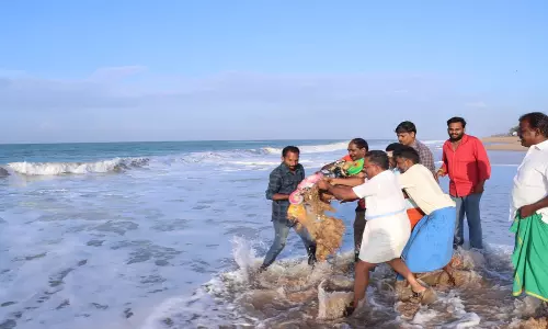 சங்குதுறை கடற்கரையில் கரை ஒதுங்கிய விநாயகர் சிலைகள்