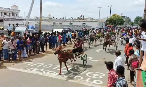 குமாரபாளையத்தில்களை கட்டிய ரேக்ளா போட்டி