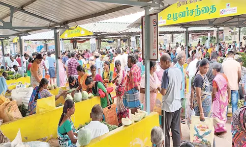 நாமக்கல் உழவர் சந்தையில்  வெண்டைக்காய் வரத்து அதிகரிப்பு