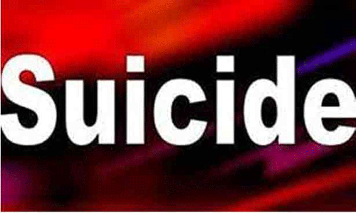 வெவ்வேறு சம்பவங்களில் இளம்பெண் உள்பட 3 பேர் தற்கொலை