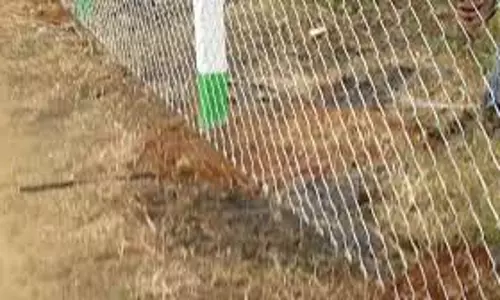 சேத்தியாதோப்பு அருகே என்.எல்.சி. கையகப்படுத்திய நிலங்களில் வேலி அமைக்கும் பணி