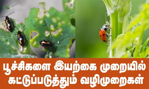 பூச்சிகளை இயற்கை முறையில் கட்டுப்படுத்தும் வழிமுறைகள்